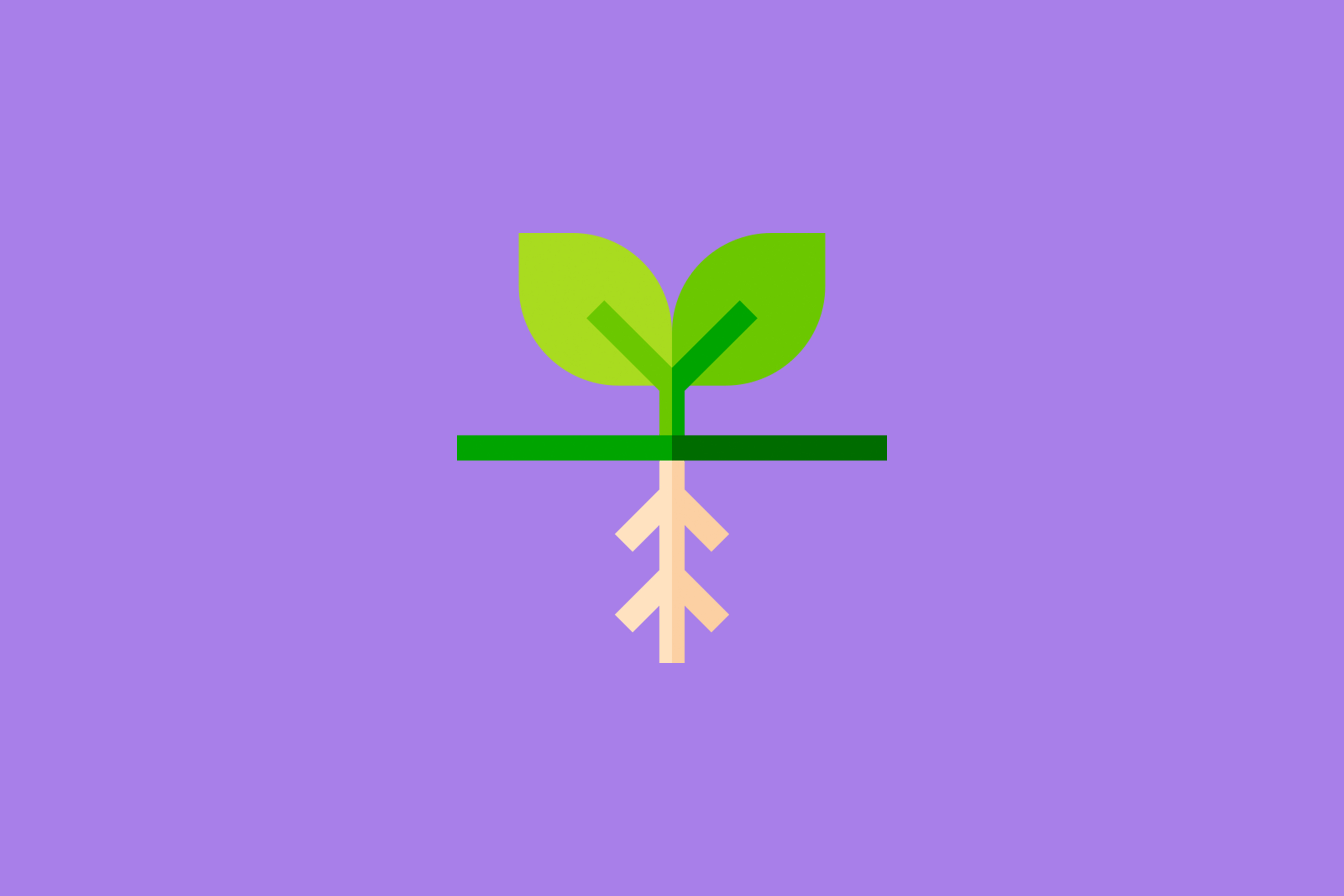 Root
